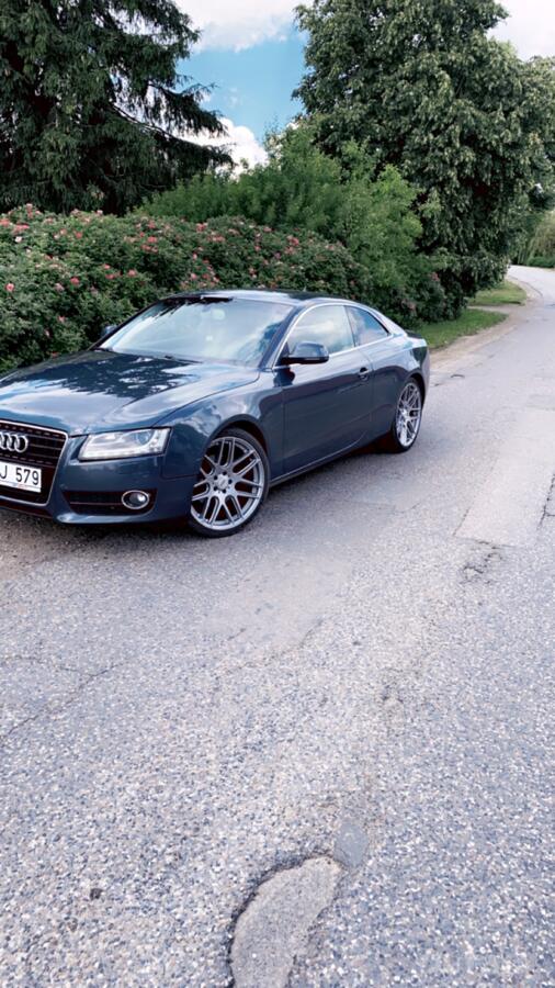 Audi, stop lekki