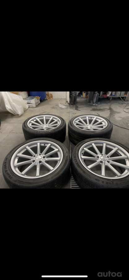 Vossen, stop lekki