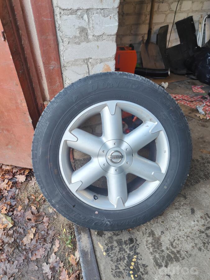 ınne, stop lekki