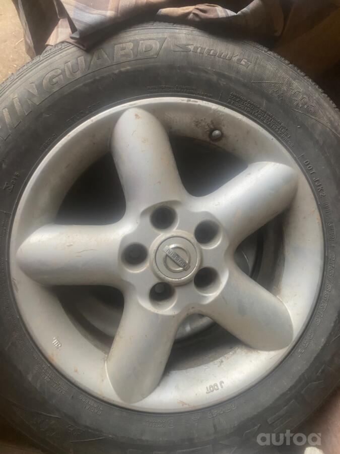 ınne, stop lekki