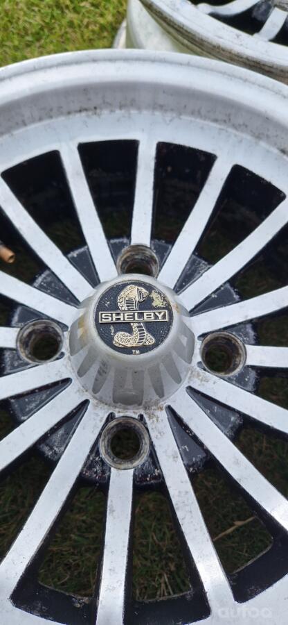 Shelby, stop lekki