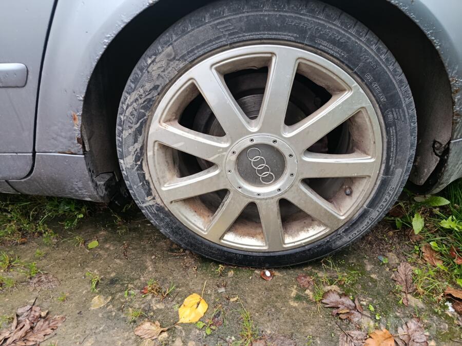 ınne, stop lekki