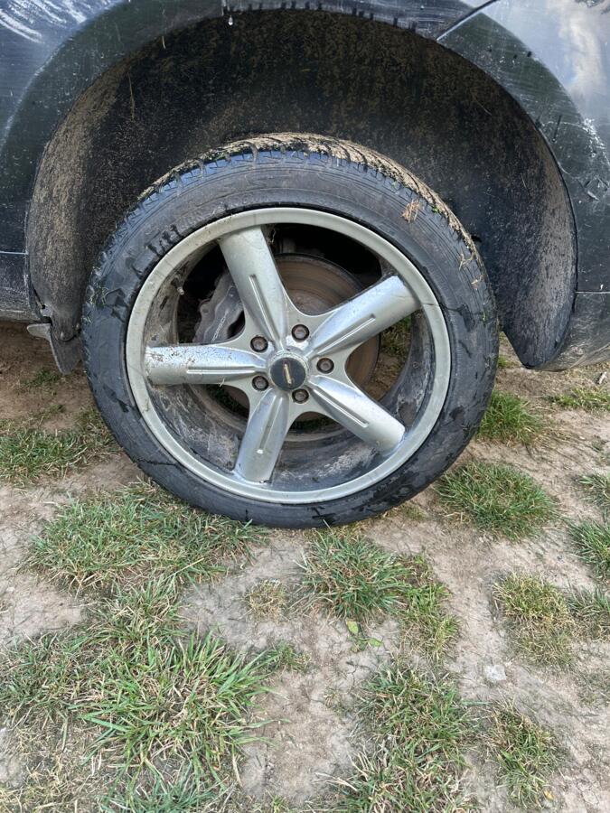 ınne, stop lekki
