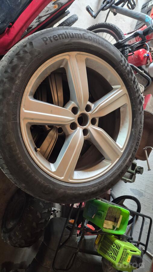 Audi, stop lekki
