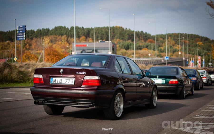 Bbs (replikos), stop lekki