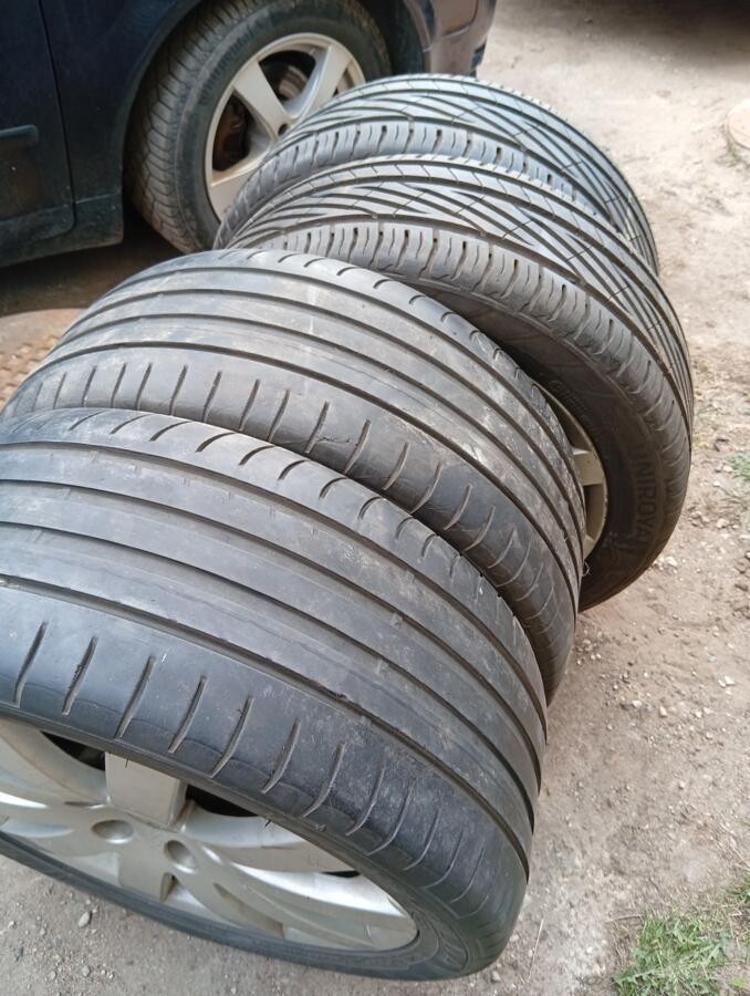 ınne, stop lekki