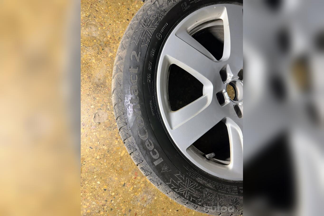 Audi, stop lekki