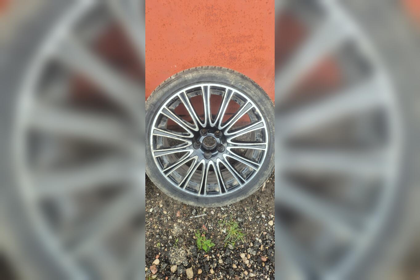 Rial, stop lekki