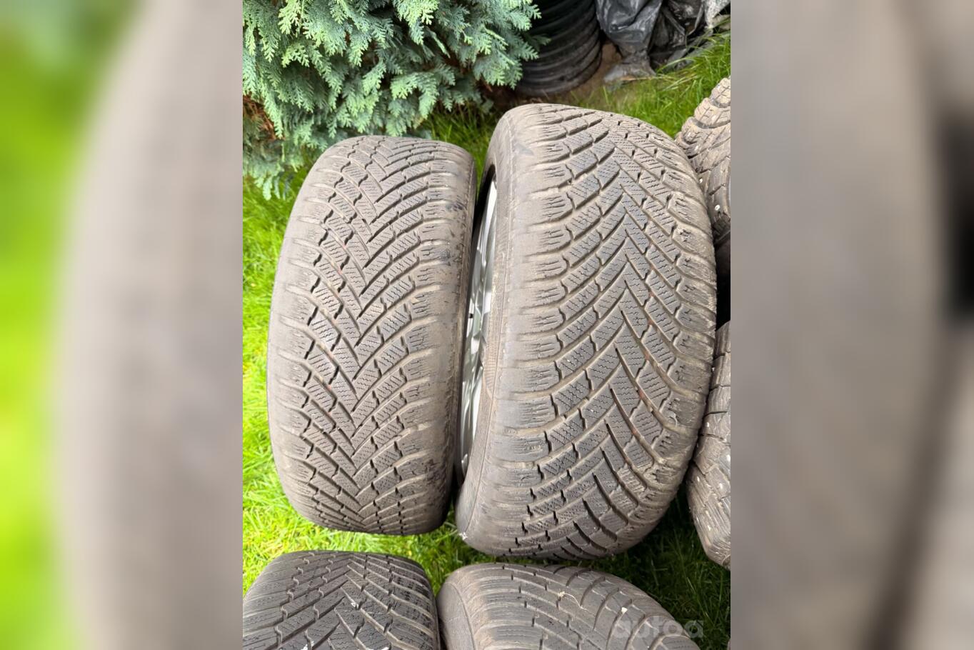 Audi, stop lekki