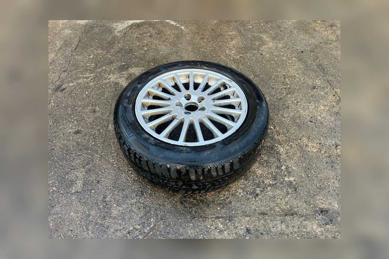 ınne, stop lekki