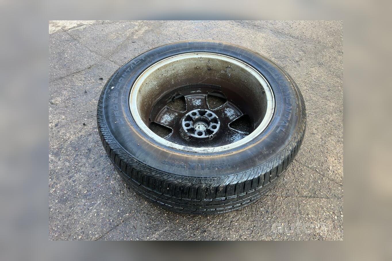 ınne, stop lekki