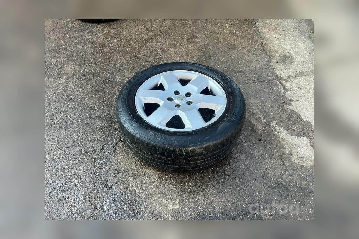 ınne, stop lekki