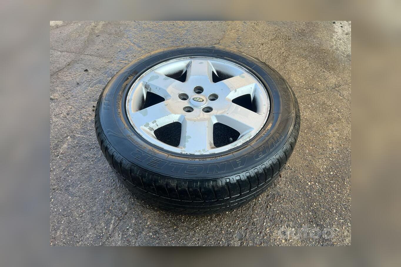 ınne, stop lekki