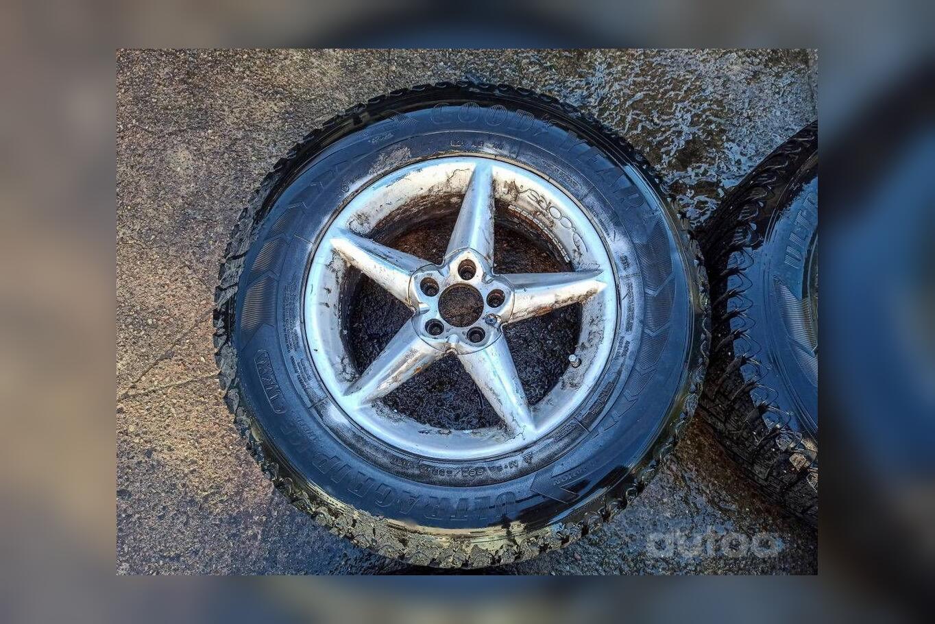 ınne, stop lekki