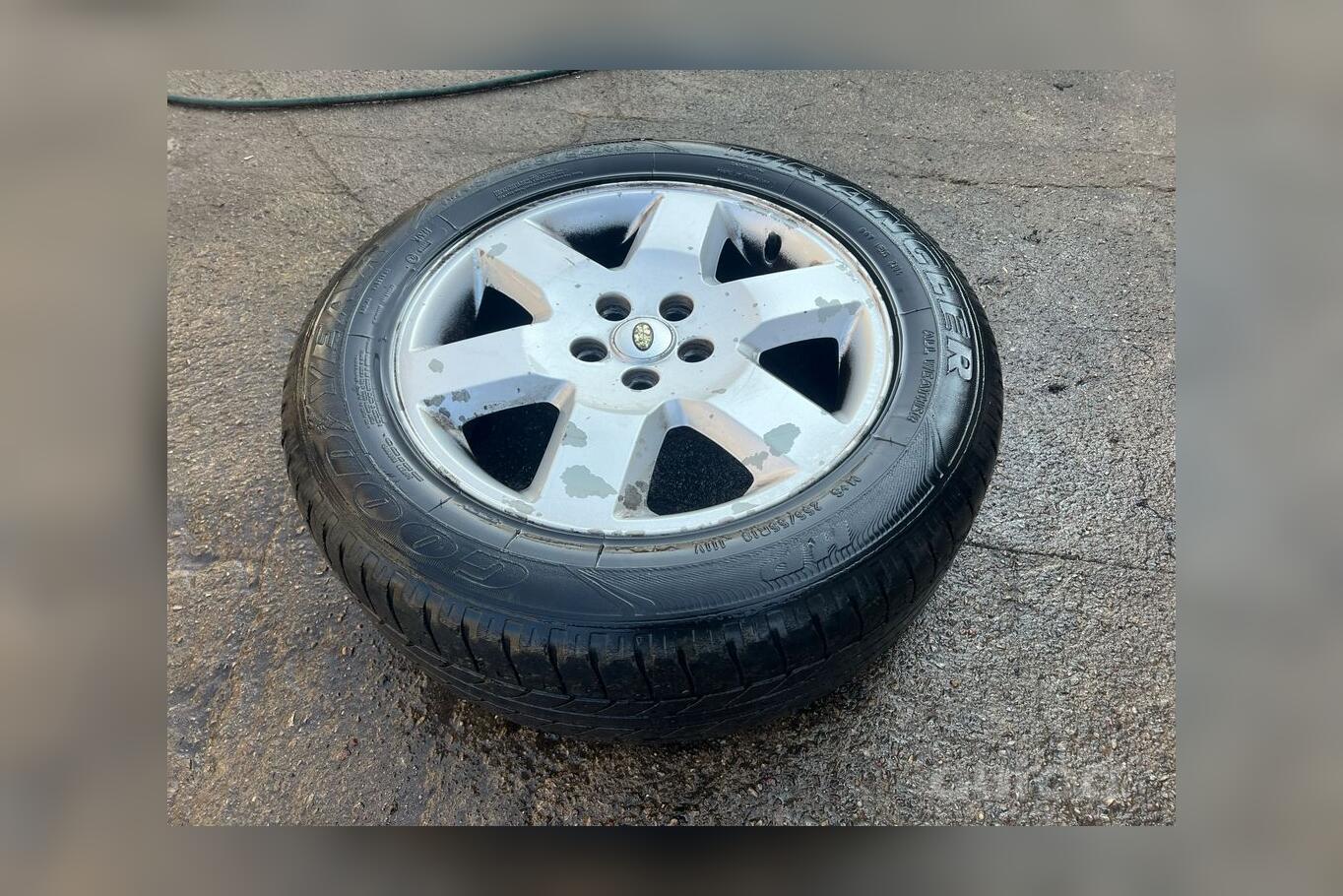 ınne, stop lekki