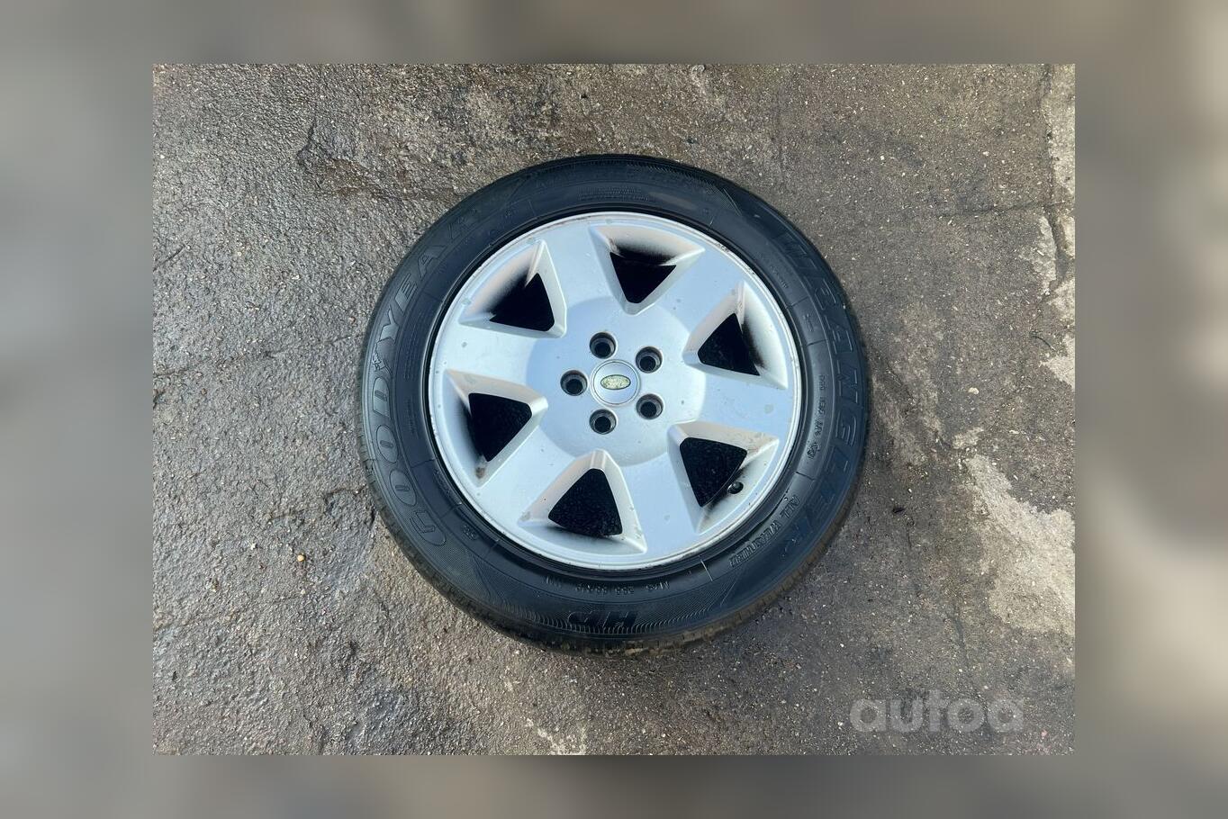 ınne, stop lekki