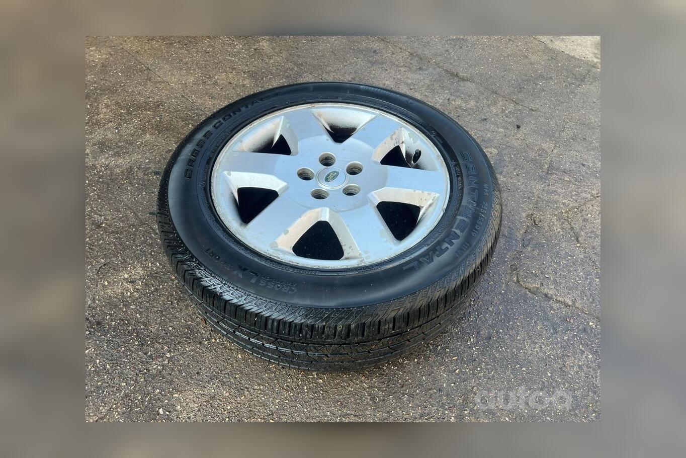 ınne, stop lekki