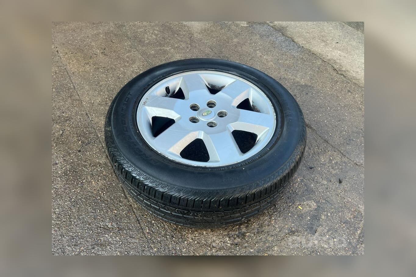 ınne, stop lekki