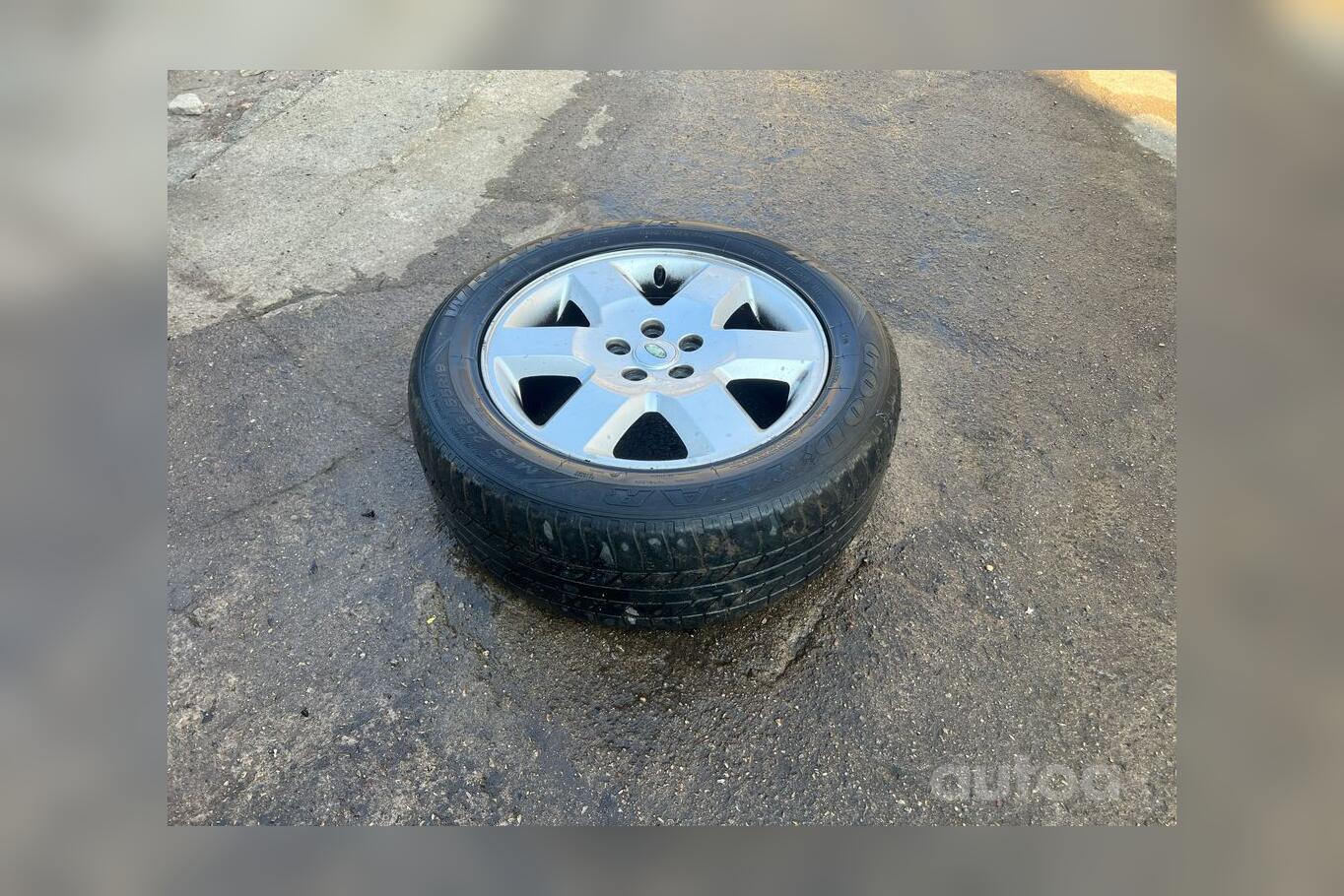 ınne, stop lekki