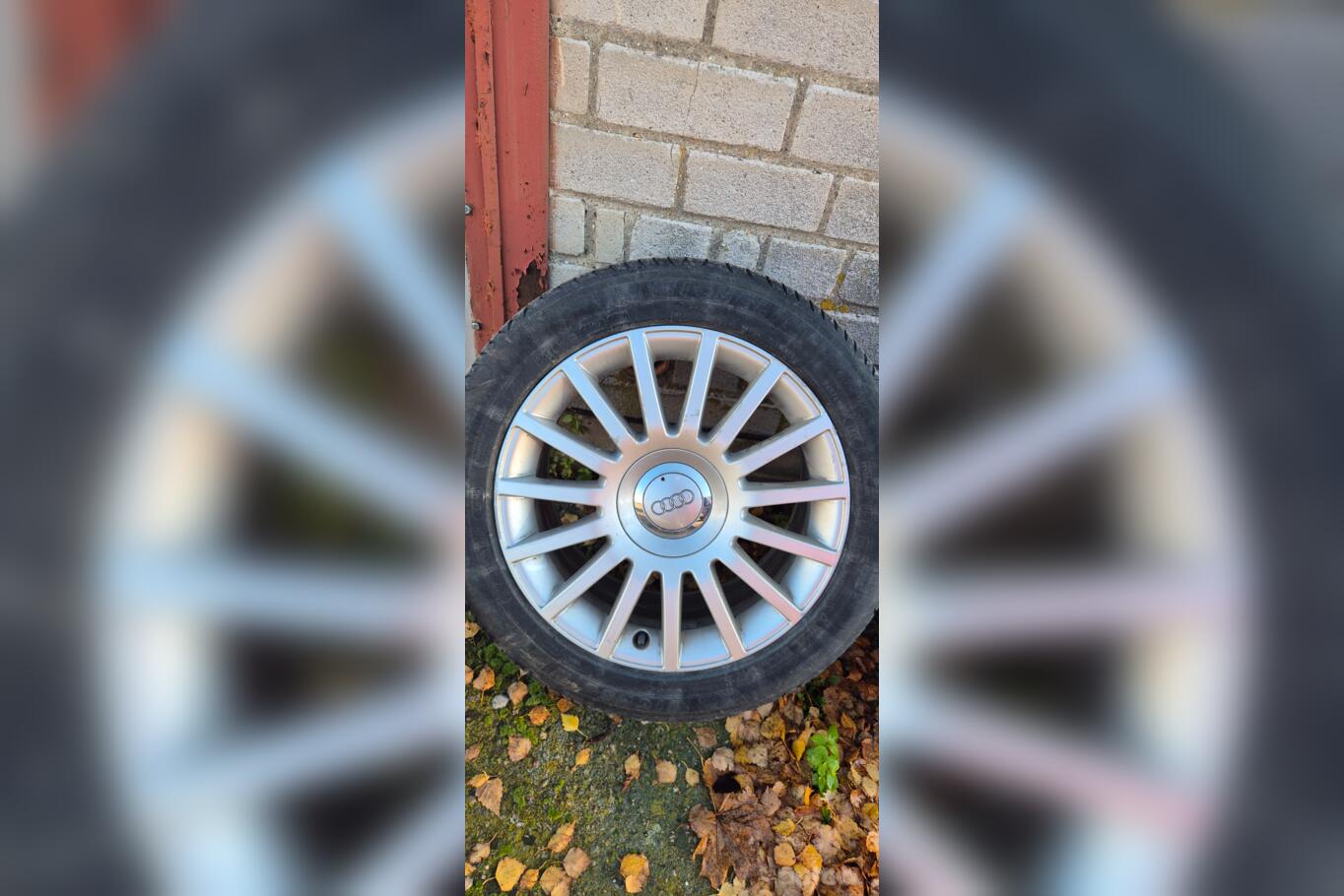 Audi, stop lekki