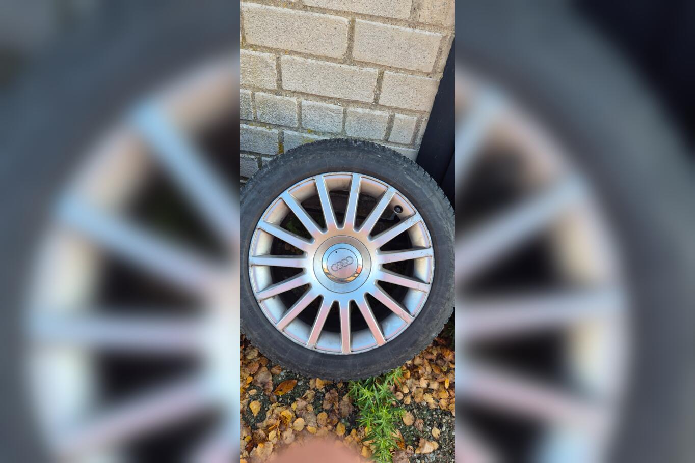 Audi, stop lekki