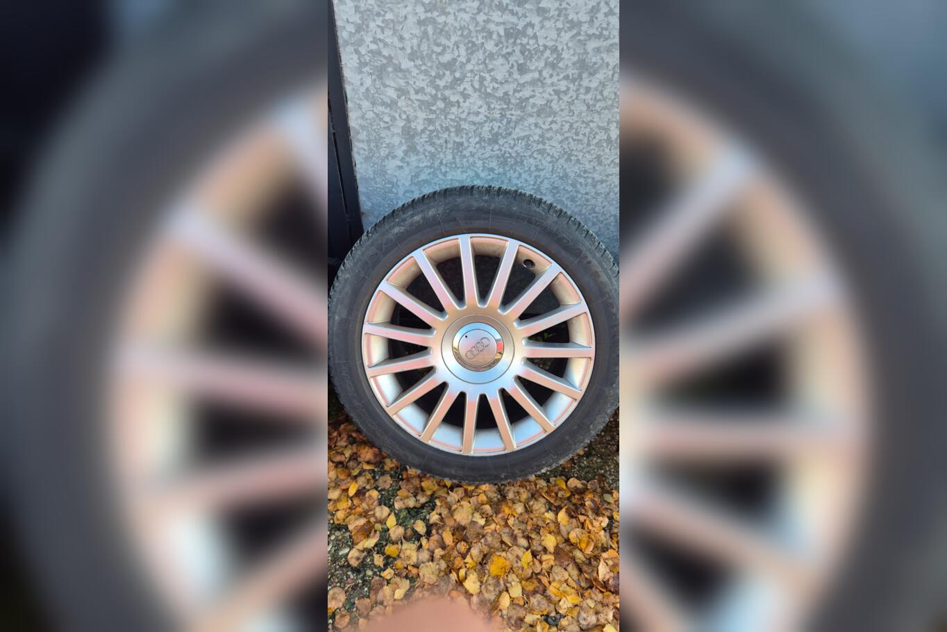 Audi, stop lekki