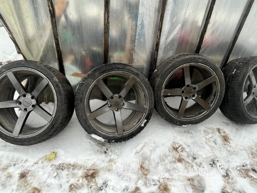 Vossen, stop lekki