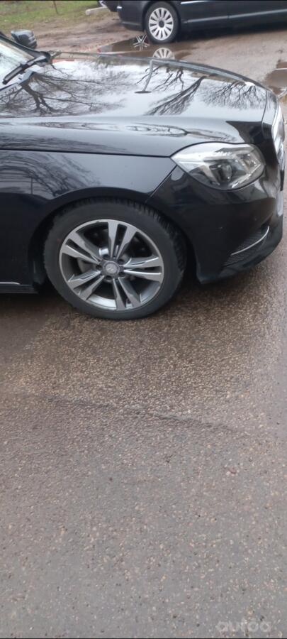 ınne, stop lekki