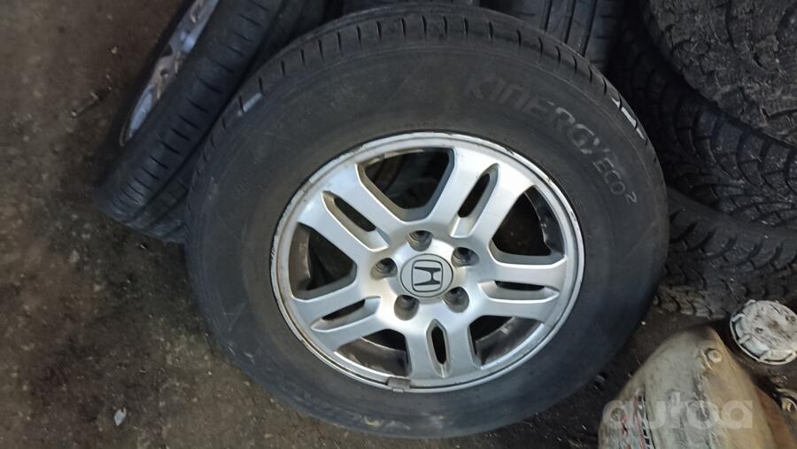 ınne, stop lekki