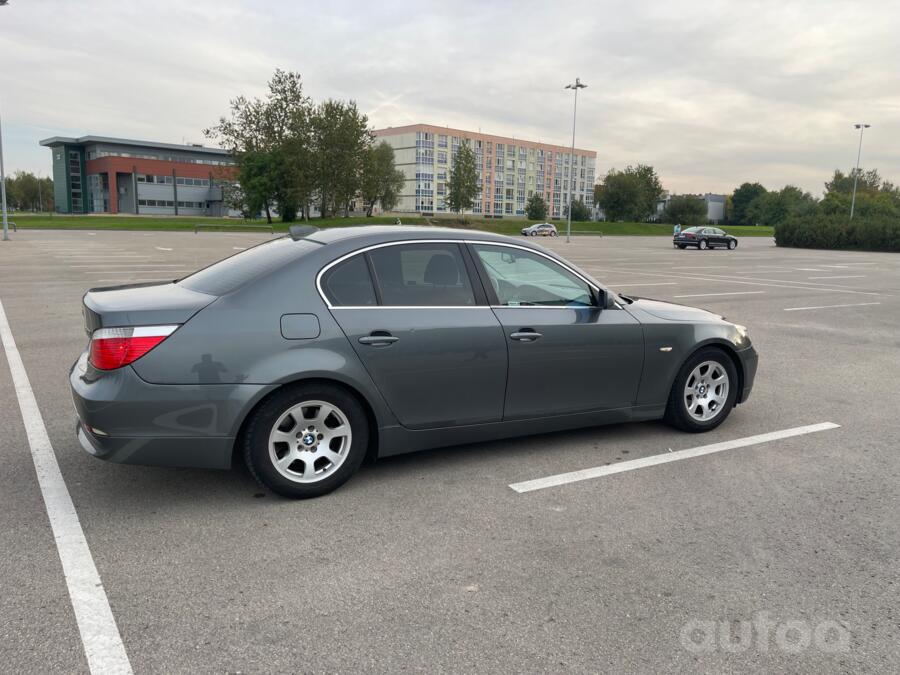 ınne, stop lekki