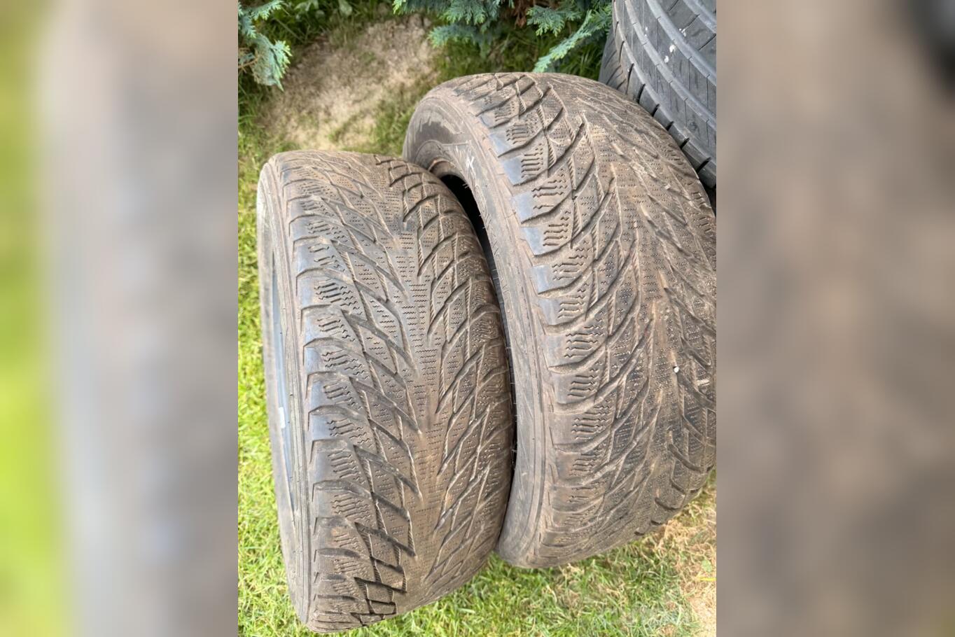 Nokian
