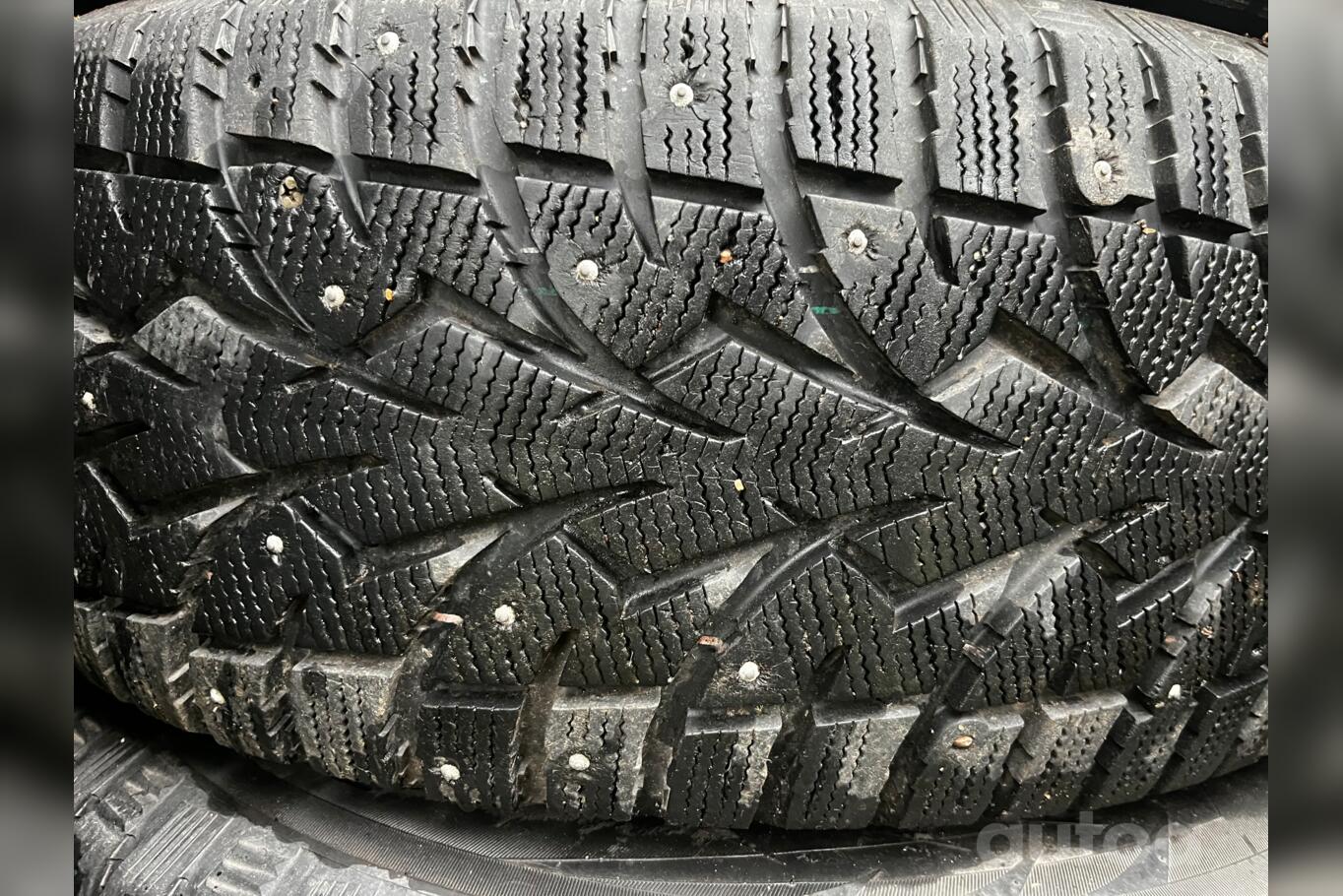 Toyo