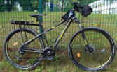 Shimano (Raam)