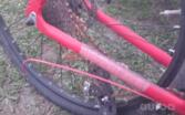 Mtb Nk