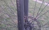 Mtb Nk