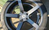 Vossen, stop lekki