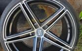Dibite, stop lekki