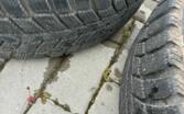 Audi, stop lekki