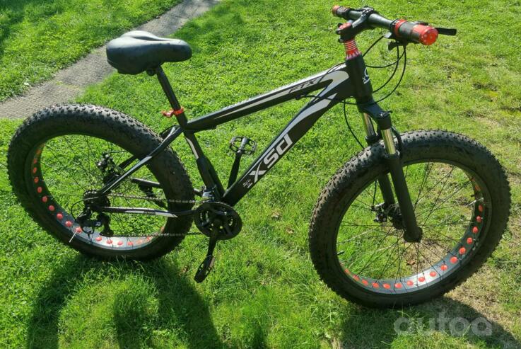 Shenzhen Xidesheng Bicycles „Ftx