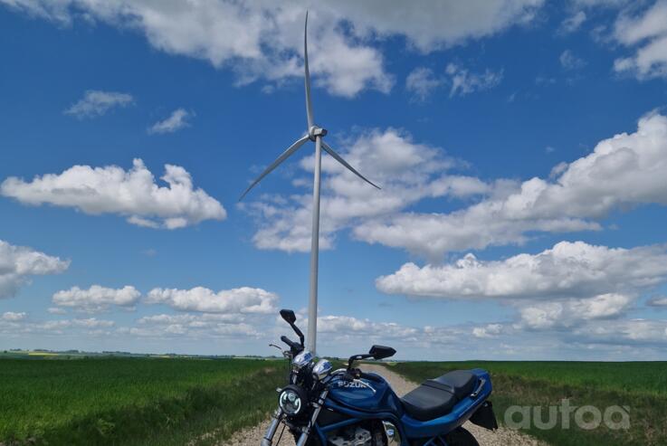 Suzuki GSF600S