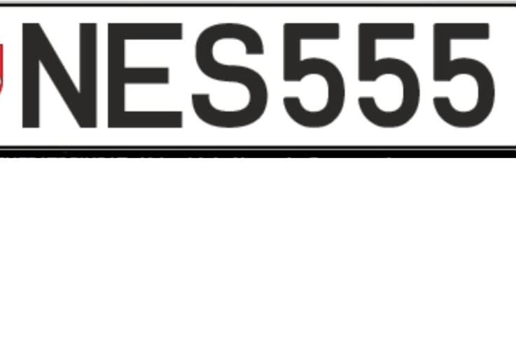 NES555