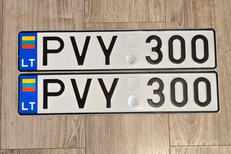 PVY300