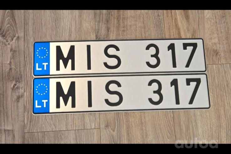 MIS317