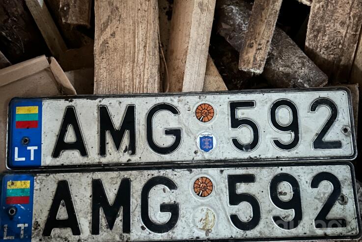 AMG 592