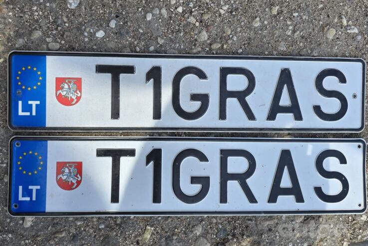 T1GRAS