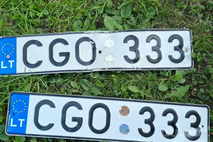 CGO333