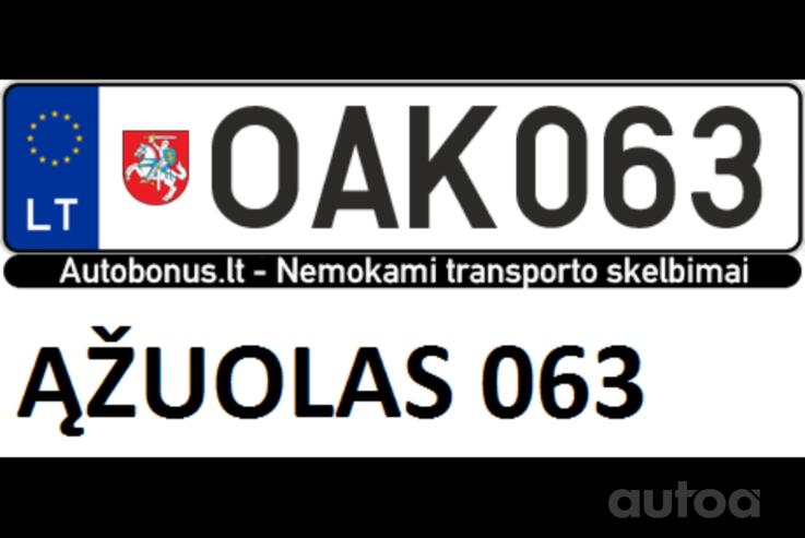 OAK063