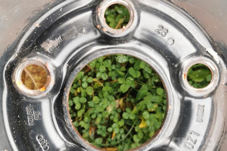 Audi, volkswagen, stal tłoczona