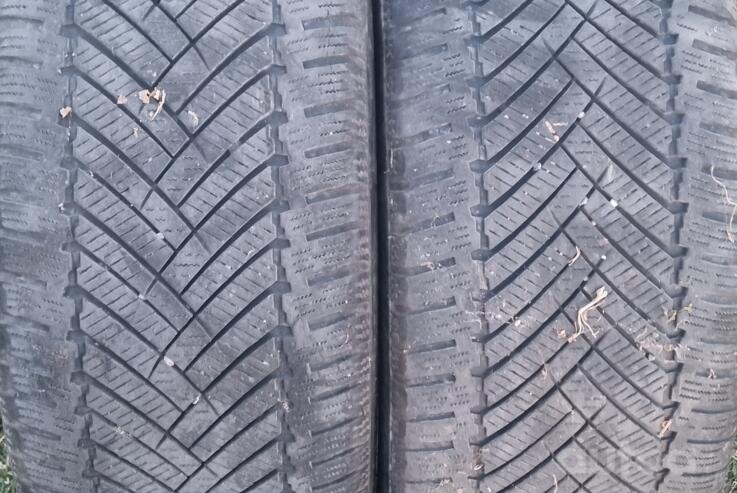 ınne, stop lekki