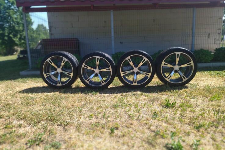 Schnitzer, stop lekki